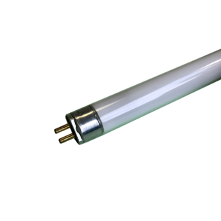 Fluorescent lamp T-5 - 8W / daylight