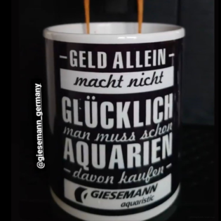 Cup Giesemann